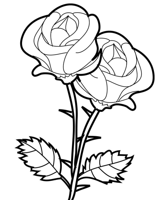 vzorec bele in črne vrtnice za tiskanje in barvanje, zamisel, kako enostavno narediti risbo cvetja v beli in črni barvi
