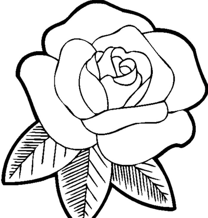 predlogo za risanje cvetja za tiskanje in barvanje, na primer, kako narediti preprosto belo in črno vrtnico, kako narisati enostavno vrtnico