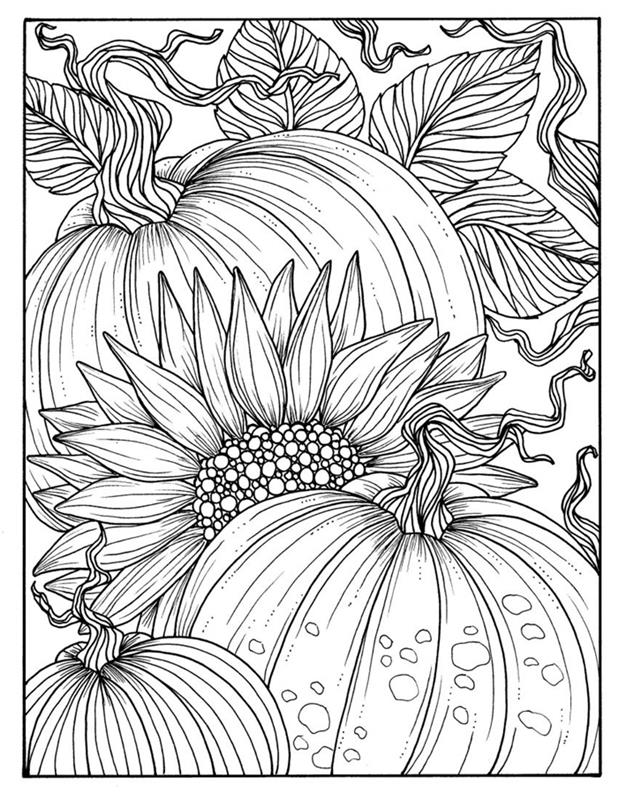 rudens spalvinimo puslapiai suaugusiems juoda ir balta piešimo spalvinimo puslapiai rudens moliūgų gėlės didelė saulėgrąžų gamta