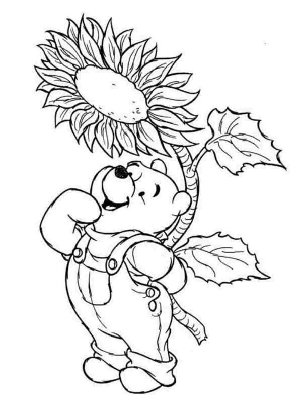 preprosta risba winnie the pooh nad sončnico na belem ozadju, brezplačne pobarvanke za tiskanje
