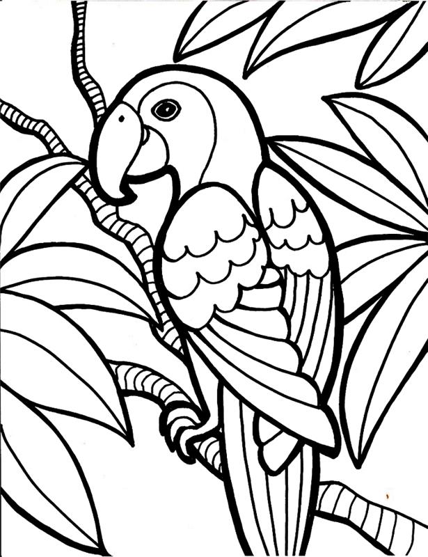 papūga, sėdinti ant medžio šakų dažymo piešinio, nemokami gyvūnų teminiai dažymo puslapiai