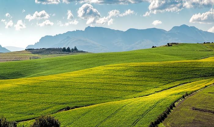 Spomladi zelena polja z goro v ozadju, spomladansko ozadje, čudovita podoba ozadja