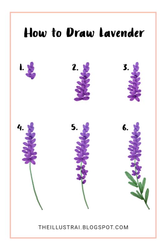 Disegni belli ma facili, disegno di una lavanda, step con numerazione, schizzo con pennarelli