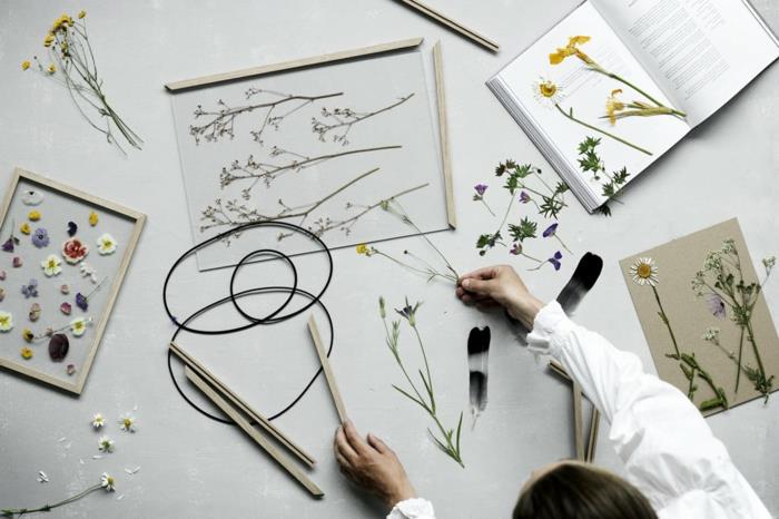 kūrybinė veikla suaugusiems, išmokite pasidaryti herbariumą, gėles ir knygoje laikomus augalus, gėlių sienų apdailą