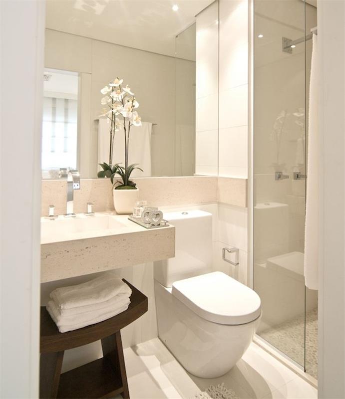 beyaz tuvalet, mermer lavabo, ahşap depolama taburesi, İtalyan duşu ile küçük İtalyan banyosu