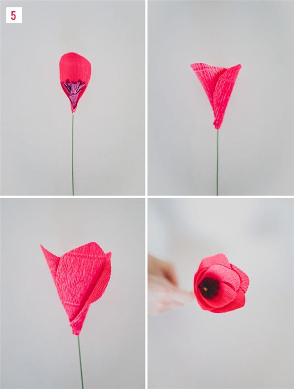çiçeğin etrafındaki kırmızı yaprakları bir araya getirin, kendiniz bir krepon kağıt çiçek yapma fikri, basit çiçek eğitimi