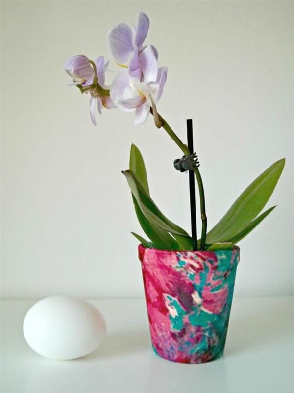 kako izbrati orhideje za okrasitev notranjosti cvetličnega salona