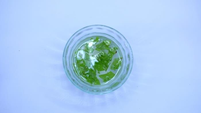 aloe vera tarifi aloe vera şifalı bitki su suyu ile kolay içecek nasıl saklanır