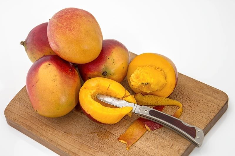 kako rezati tehniko gojenja drevesa mango domačega drevesa mango