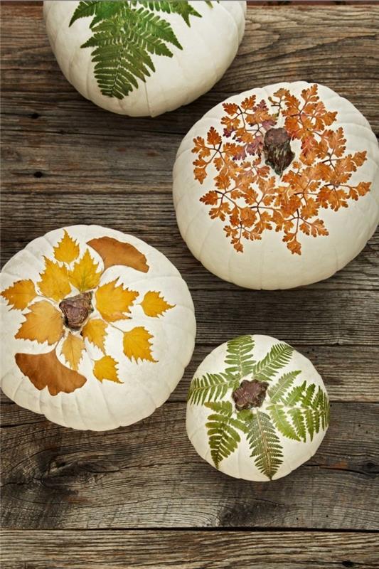 rudens rankinė veikla su moliūgais ir džiovintais lapais, baltas moliūgų raštas, papuoštas džiovintais lapais ir gėlėmis