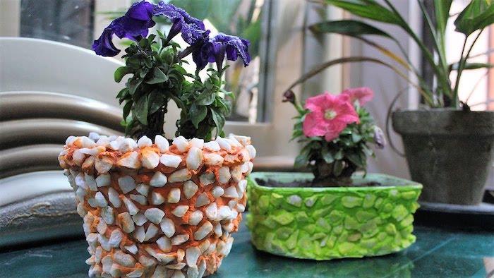 cam bir masada iki bitki boya ve küçük taşlar kullanarak saksı nasıl dekore edilir