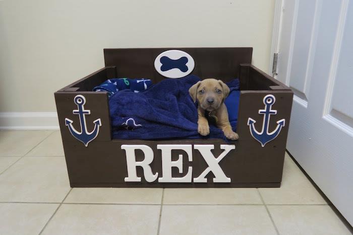 rex dekorlu köpek sepeti yatağı nasıl yapılır