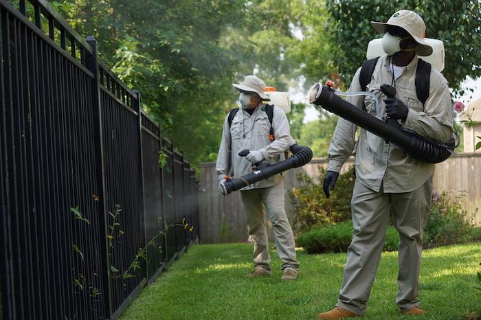 kako prestrašiti komarje na vrtu ali na terasi izdelki proti komarjem