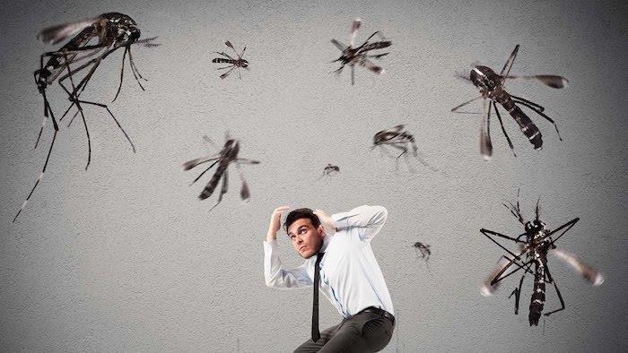 kako ponoči in podnevi prestrašiti komarje, ne da bi jih ubili
