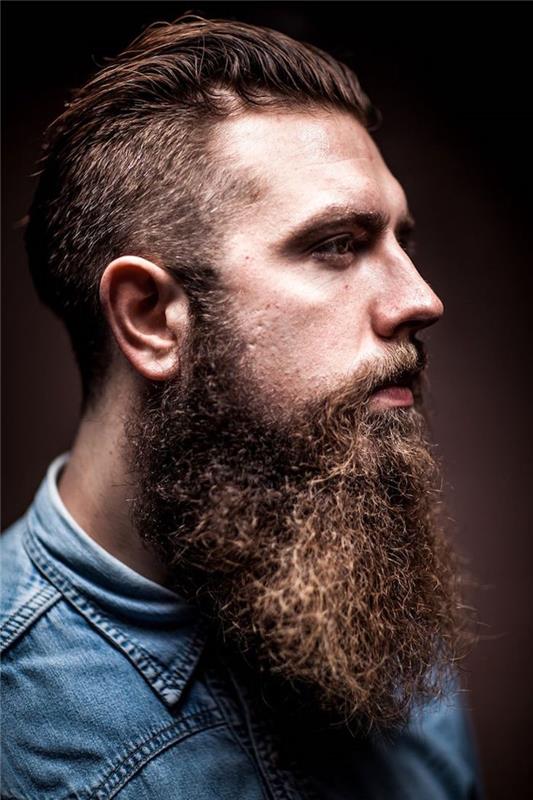 moda, kako imeti lepo dolgo brado