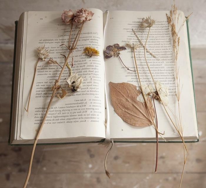 naredite starinski herbarij z uporabo težkih knjig, ideja za dekor, ki ga navdihujejo vintage botanične zbirke