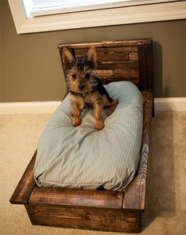 kako-narediti-paleto-posteljo-predlog-fantastično-zelo-lepo-posteljo-za-svojega psa