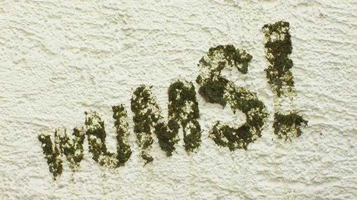 kako-narediti-preprosto-grafite-v-rastlinskem mahu