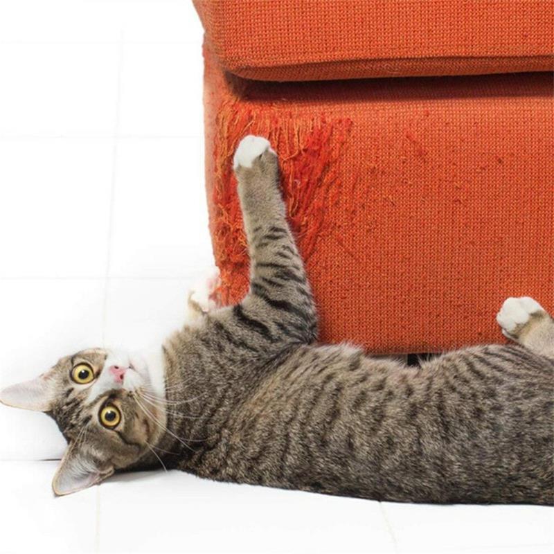 bir koltuğa zarar veren bir kediden kedileri nasıl uzak tutabilirim