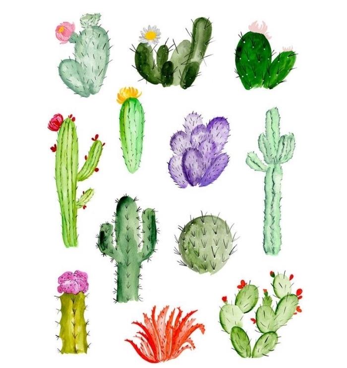 luštna zbirka akvarelnih kaktusov v različnih odtenkih zelene, enostavno risanje akvarela, da se naučite mešati barve