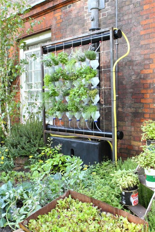 izvirna ideja za zunanjo rastlinsko steno s plastičnimi steklenicami in avtomatskim namakalnim sistemom