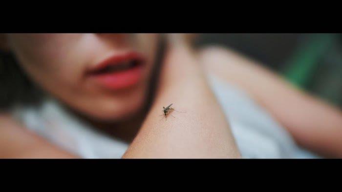 kako se znebiti komarjev pred ugrizom uporabite sredstvo proti komarjem