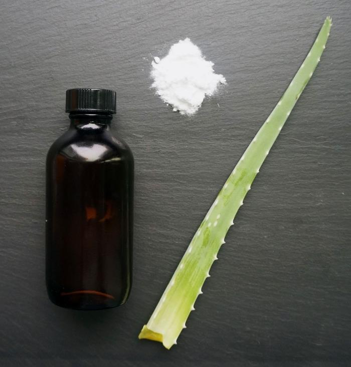 aloe vera nasıl kullanılır sağlık doğal ürünler ev yapımı tarif gargara aloe vera ve nane esansiyel yağı alkolsüz