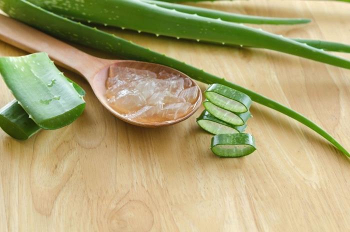 aloe vera yüz temizleme jeli nasıl kullanılır aloe parçaları yaprak olgun bitki