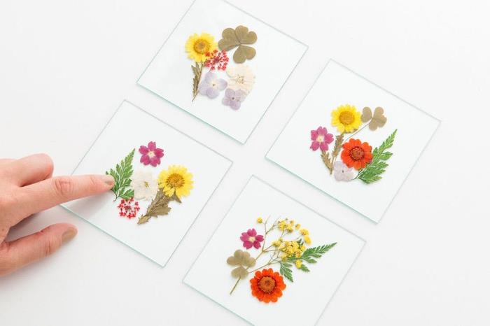 izdelava podstavkov s steklenimi ploščami in uokvirjenim cvetjem, materinski dan DIY na temo herbarija