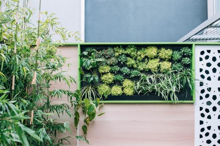 rastlinska plošča, ki krasi vrtno steno in vabi k razmišljanju, kako ustvariti navpični mini vrt