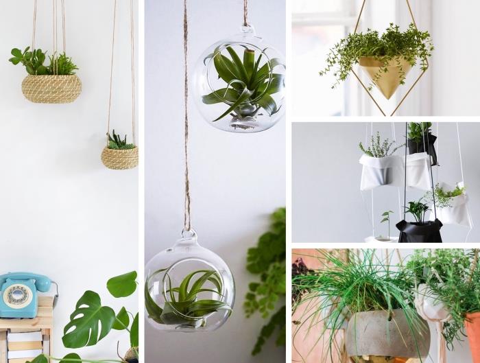 asılı bitki konteyner fikirleri, kolay DIY cam ve ip teraryum, modern metal sarkıt ışık