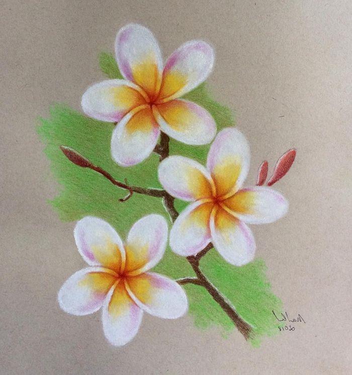 Barvita cvetoča veja, risba barvnega svinčnika, cvetlična risba na veji, enostavno risanje korak za korakom