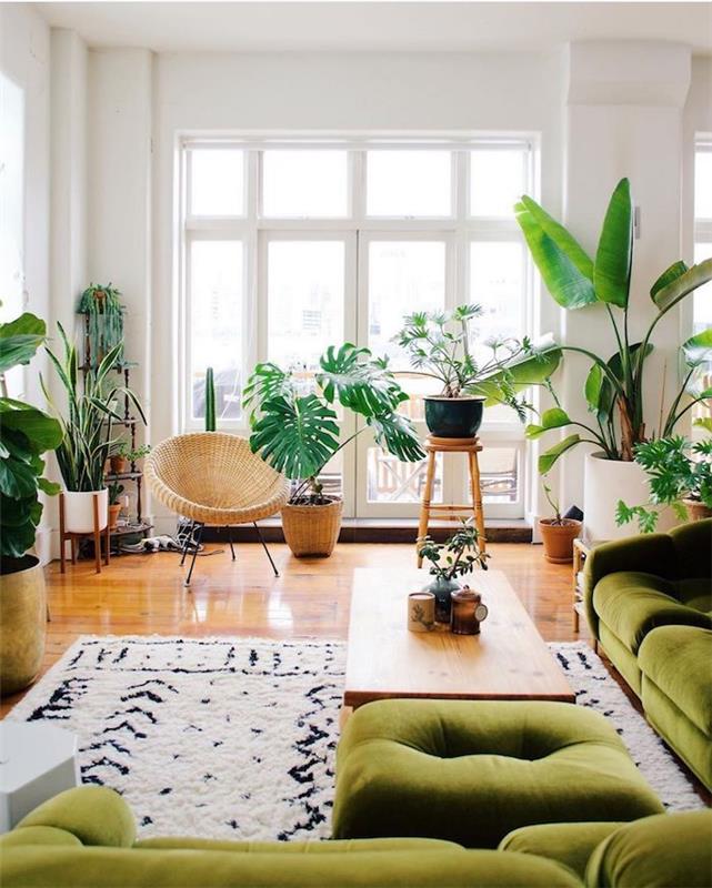 Köşe yeşil kanepe, güzel iç mekan bitkileri, egzotik tarzda oturma odası için en iyi yeşil bitki