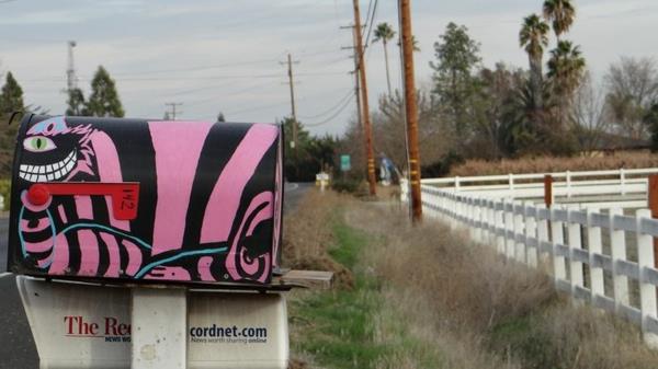 cool-painting-on-a-mailbox in in pink-and-black