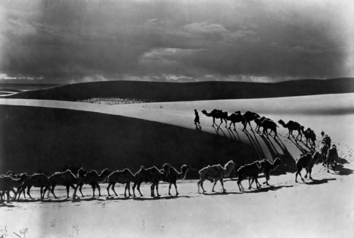 havalı-foto-siyah-beyaz-kadın-sanatsal-fotoğrafçılık-les-camiles