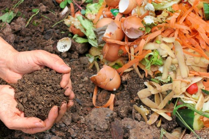kompost yumurta kabuğu, patates kabukları, havuç, biyolojik olarak parçalanabilen atık ve yumurta kabukları, gübre