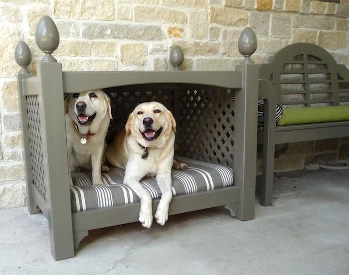 büyük köpek çift köpek kulübesi büyük labrador için sepet