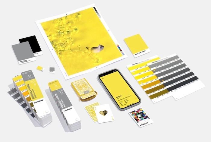 pantone barva leta 2021 trendi v grafičnem oblikovanju kopija 2