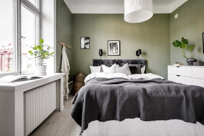 barve, ki se ujemajo s kaki belo stropno posteljnino oglje sivo zelena rastlina monstera