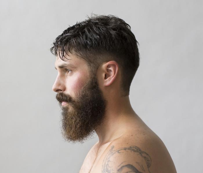 najlepše brade zgostijo brado kot hipster