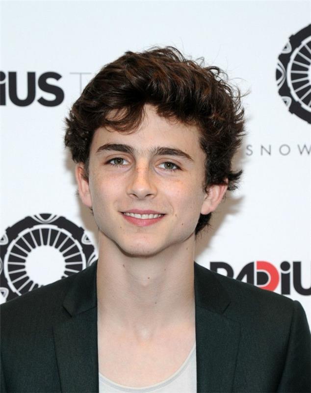 Thimothée Chalamet su kirpimu paaugliui berniukui ant vidutinio plauko, juoda kostiumo striukė