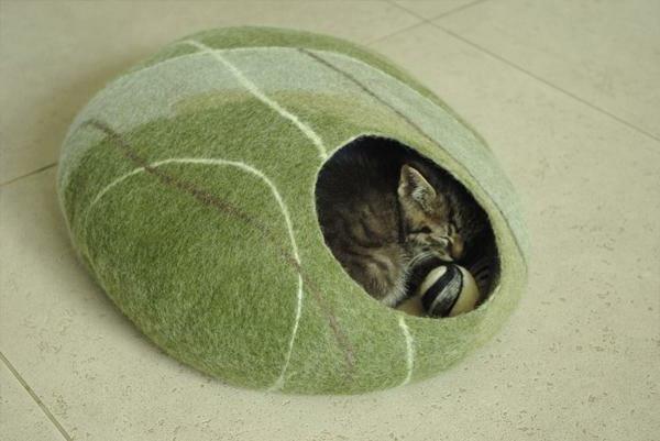 kedi-çakıl-yastık