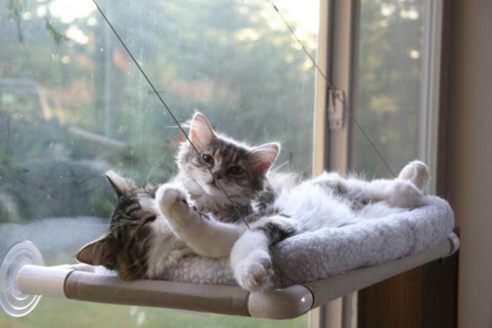 pagalvėlės-katėms-hamakas-katėms-radiatorių laikiklis-katės-daiktai-katės-hamakas-už-mielos-katės-nuotrauka