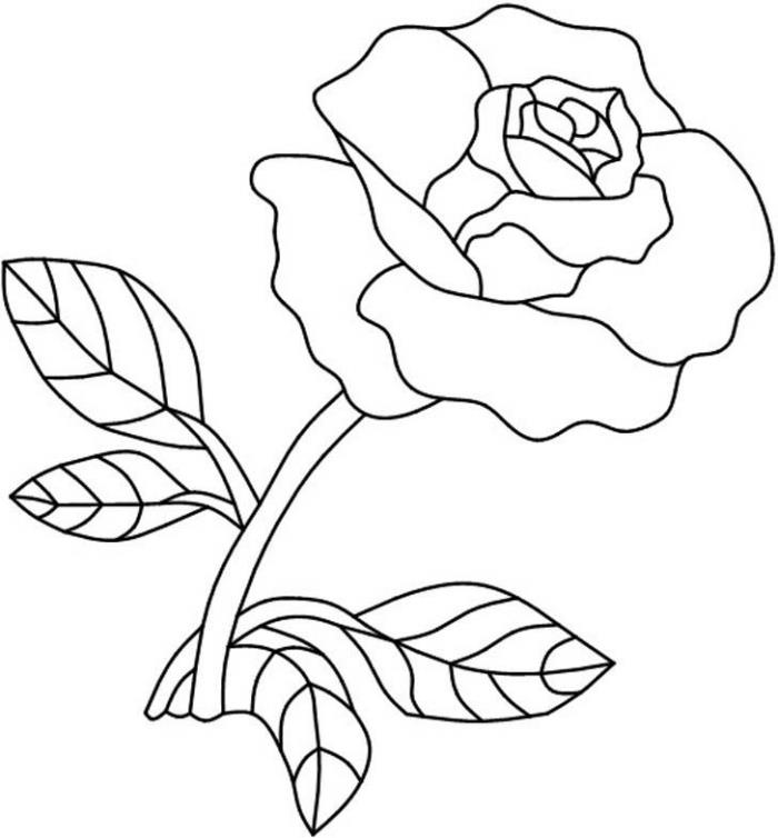 barvna šablona za risanje cvetja, enostaven za reprodukcijo primer risbe, ideja, kako narediti odprto vrtnico s svinčnikom