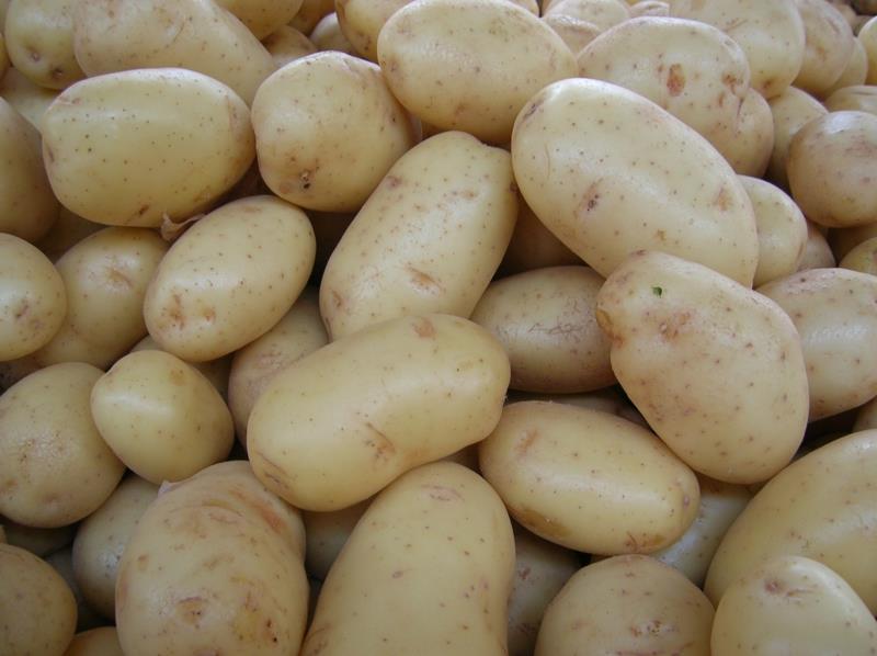 peci krompir agata krompir