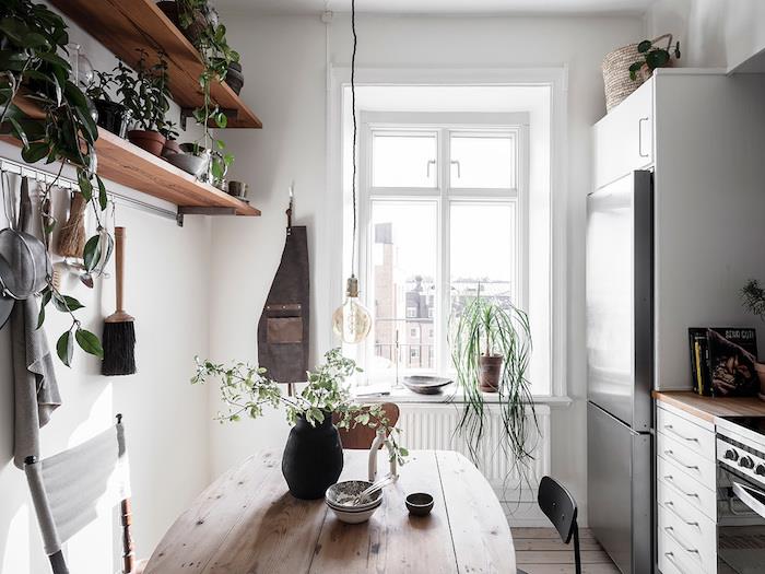 Modern İskandinav tarzı mutfakta dekoratif yeşil bitkilerle dolu raf, kirletici bitkiler, modern houseplant