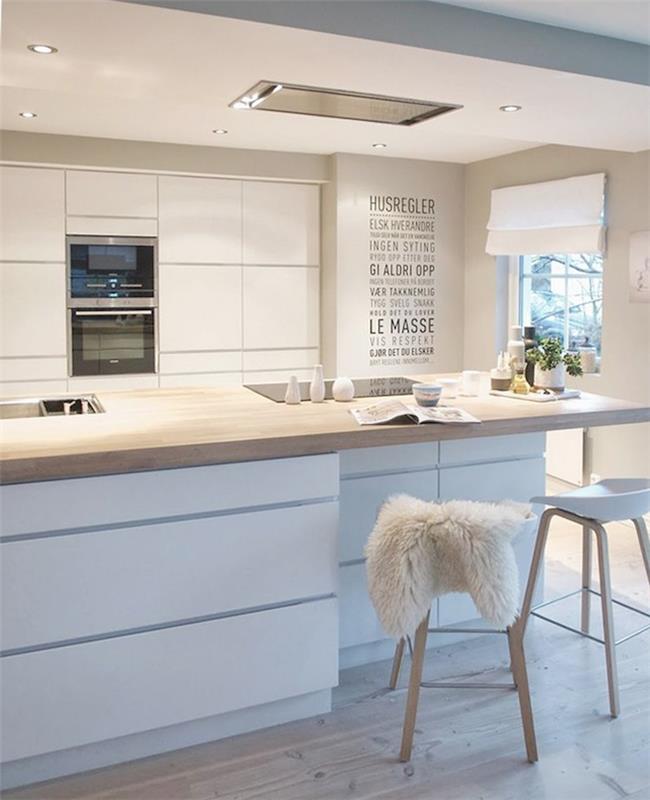 modernios atviros virtuvės skandinaviško stiliaus amerikietiško minimalistinio švediško dizaino