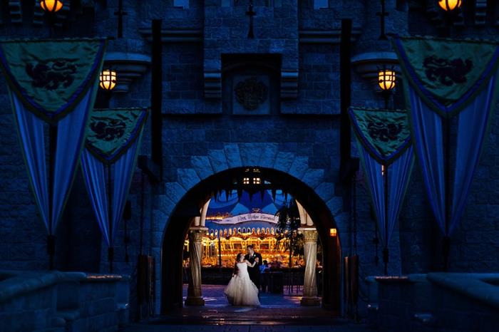 DIY-düğün-teması-Disney-Aurora-gelin-mutlu-çift