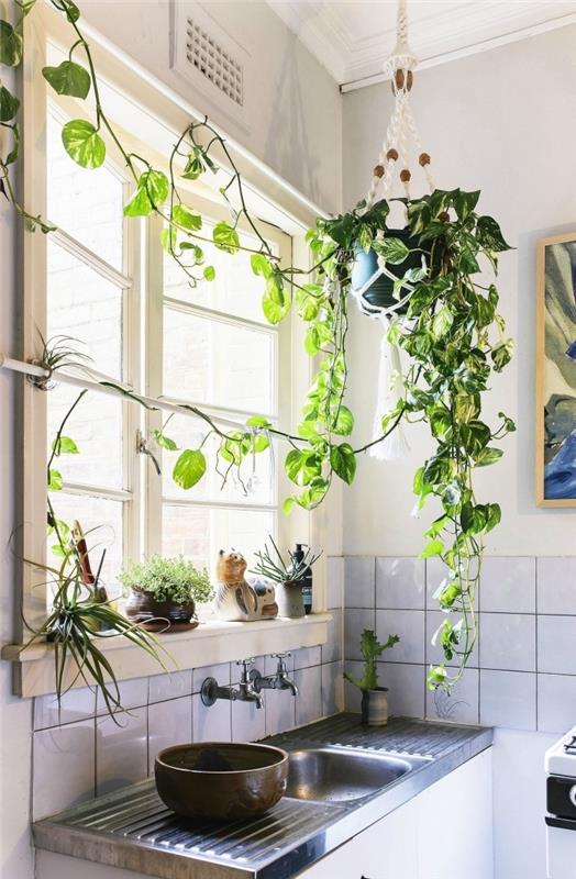 dekoriranje majhnih kuhinjskih oken viseča rastlina notranje stenske sponke viseči makrame za rastlino