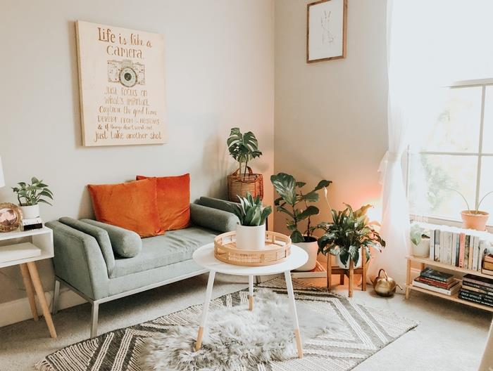 dekor dnevne sobe oranžna blazina siv kavč bela namizna preproga sivo umetno krzno leseno pohištvo zelene rastline notranjost leseni fotookvir